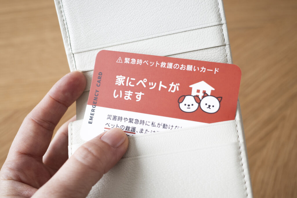 ペット救護カードを財布に入れたイメージ
